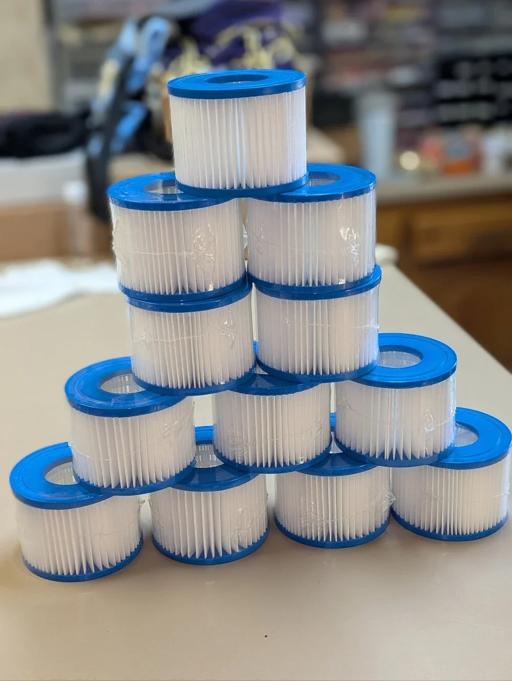 Set of 12 BRAND NEW type VI hot tub filter cartridges